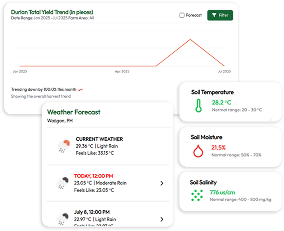 Farmer using the DALISAI mobile app in a durian farm